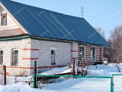 dom-selo-shava-kstovskiy-rayon фото