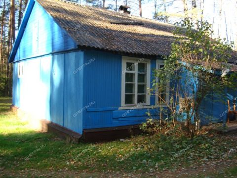 derevnya-syrohvatovo-gorodskoy-okrug-bor фото