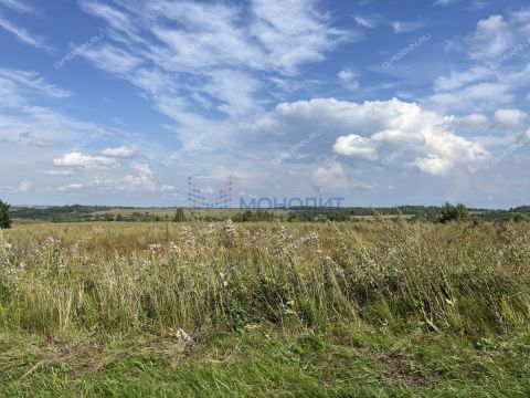 derevnya-pushkarevo-sokolskiy-gorodskoy-okrug фото