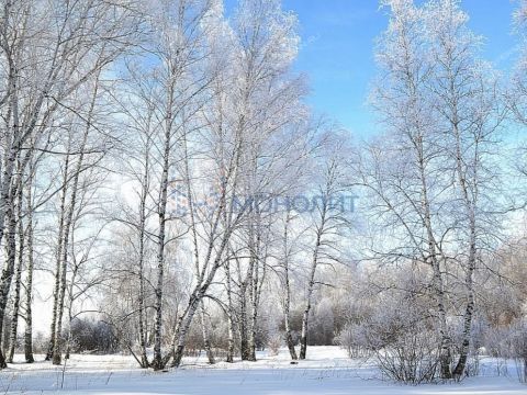 priokskiy-rayon фото