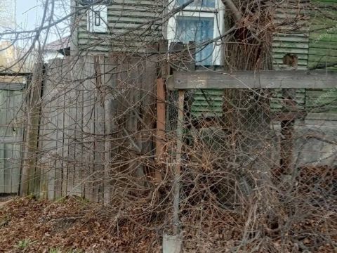 dom-ul-guzhevaya-d-8 фото