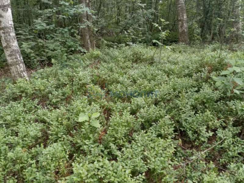 дом на улице Озерная посёлок Железнодорожный (Ситниковский сельсовет