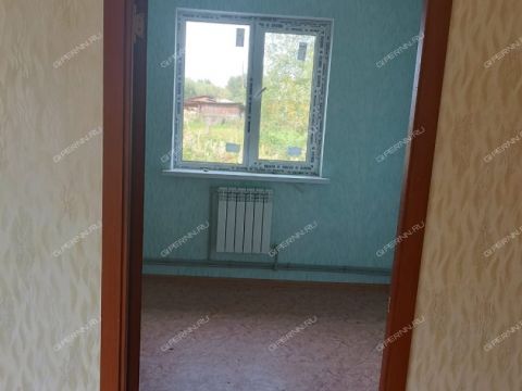 3-komnatnaya-selo-ilino-zaborskoe-semenovskiy-gorodskoy-okrug фото
