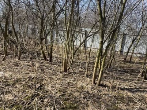 poselok-babino-gorodskoy-okrug-dzerzhinsk фото