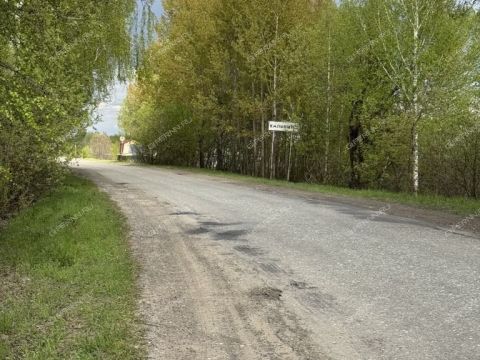 derevnya-kalikino-gorodskoy-okrug-bor фото