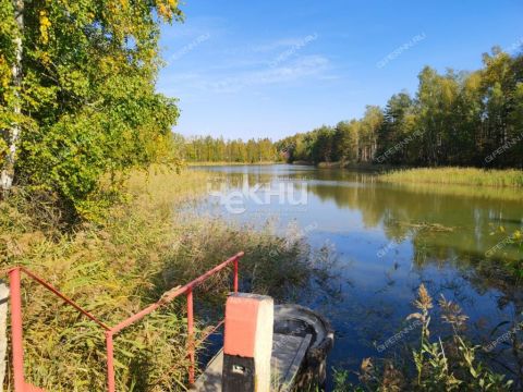 dacha-gorod-balahna-balahninskiy-municipalnyy-okrug фото