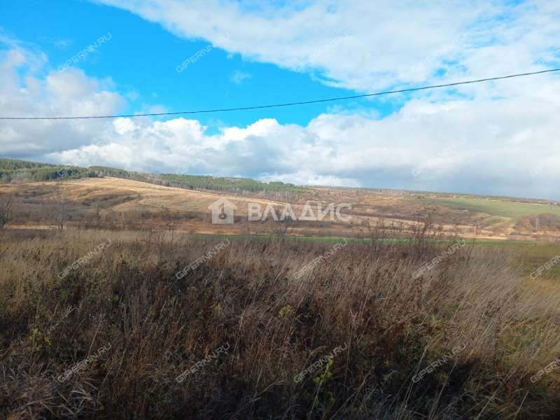 земельный участок 90 соток деревня Инютино