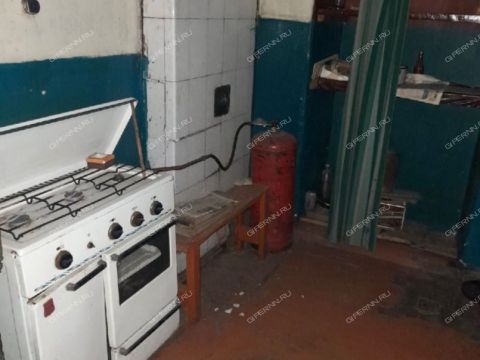 2-komnatnaya-derevnya-turbanka-spasskiy-rayon фото