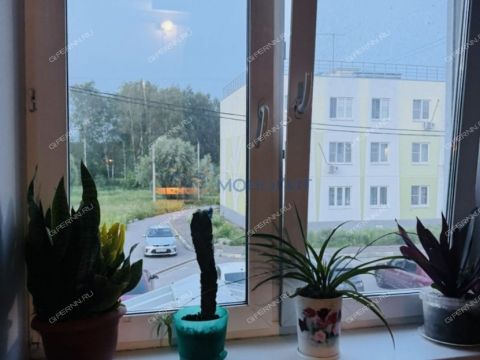 2-komnatnaya-poselok-zhdanovskiy-kstovskiy-rayon фото