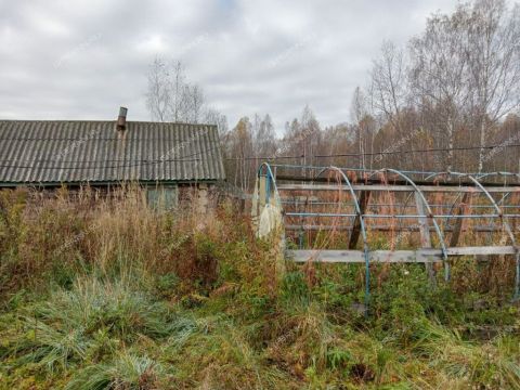 dom-derevnya-pirogovo-gorodskoy-okrug-bor фото