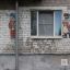 Фото: Анастасия Гореловская / vgoroden.ru