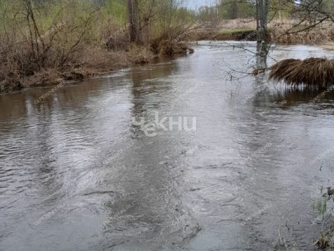 dom-derevnya-elovicy-bogorodskiy-municipalnyy-okrug фото