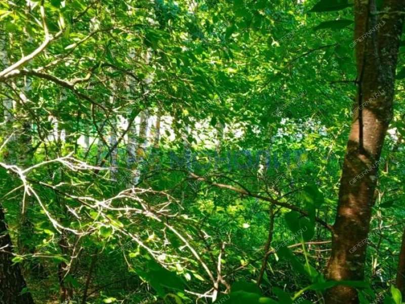 земельный участок под сельхоз назначение в Богородском районе Нижегородской области