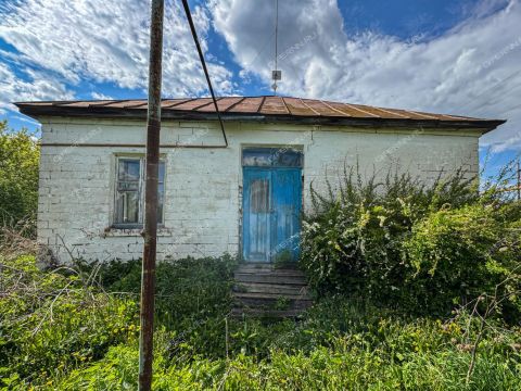 selo-bornukovo-buturlinskiy-municipalnyy-okrug фото