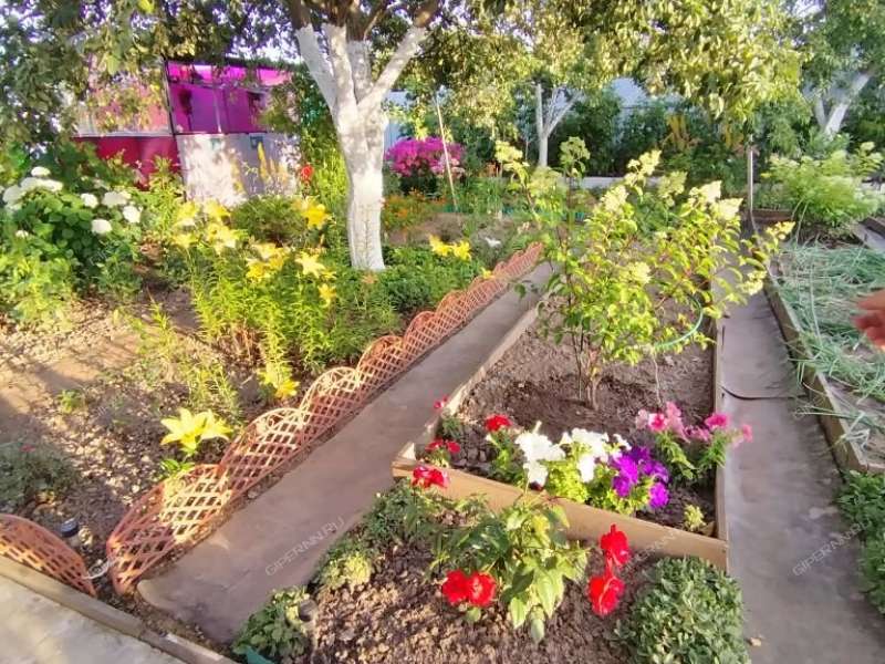 дача на СНТ Надежда