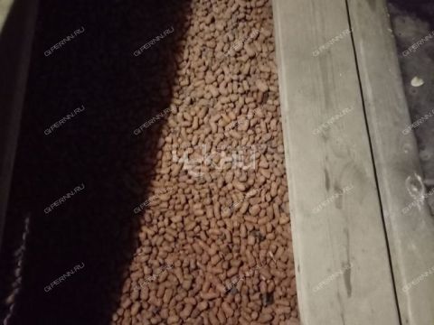dacha-gorod-zavolzhe-gorodeckiy-rayon фото