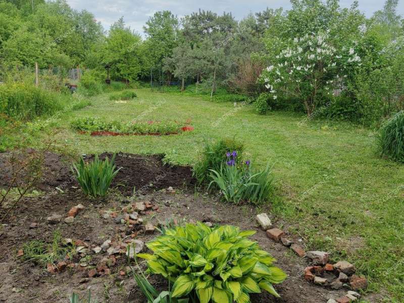 дом на Колхозной улице село Крутой Майдан