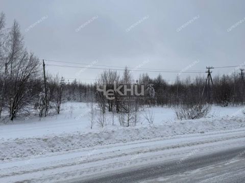 selo-bezvodnoe-kstovskiy-rayon фото