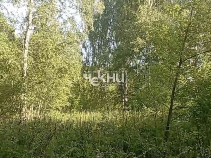 земельный участок 100 соток деревня Досадино