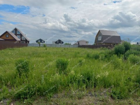 derevnya-shumilovo-bogorodskiy-municipalnyy-okrug фото