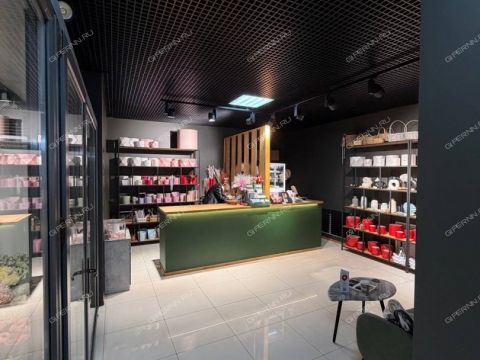 ul-maksima-gorkogo-d-70 фото