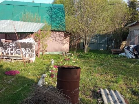selo-kantaurovo-gorodskoy-okrug-bor фото