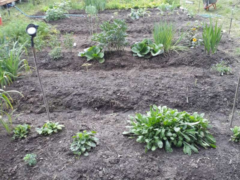 дом на  СНТ Калинка