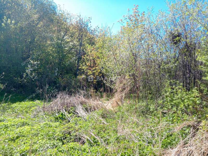 земельный участок 10 соток Садовая улица село Безводное