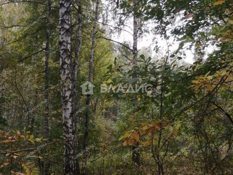 земельный участок 175 соток сельский посёлок Бор