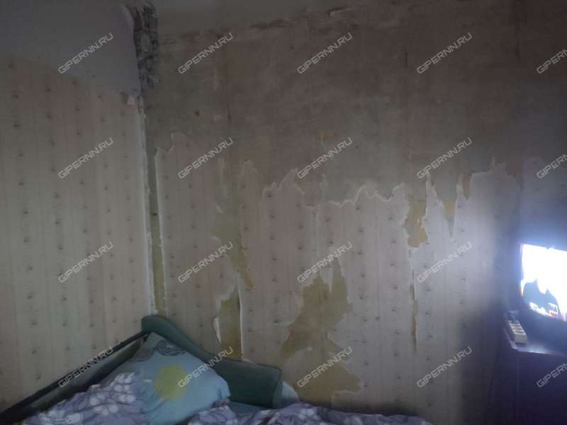 трёхкомнатная квартира на Волжской улице дом 13а