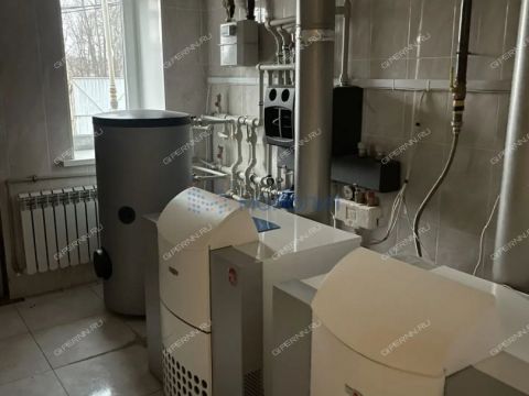 selo-novye-klyuchishhi-kstovskiy-rayon фото