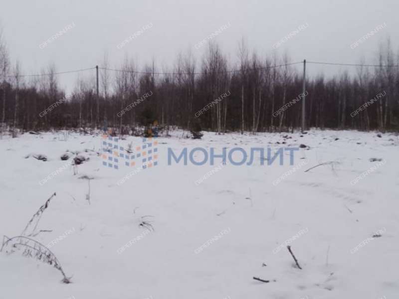 земельный участок 10 соток - деревня Гумнищи