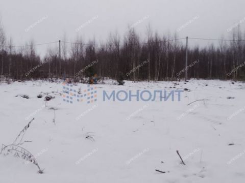 derevnya-gumnishhi-balahninskiy-municipalnyy-okrug фото