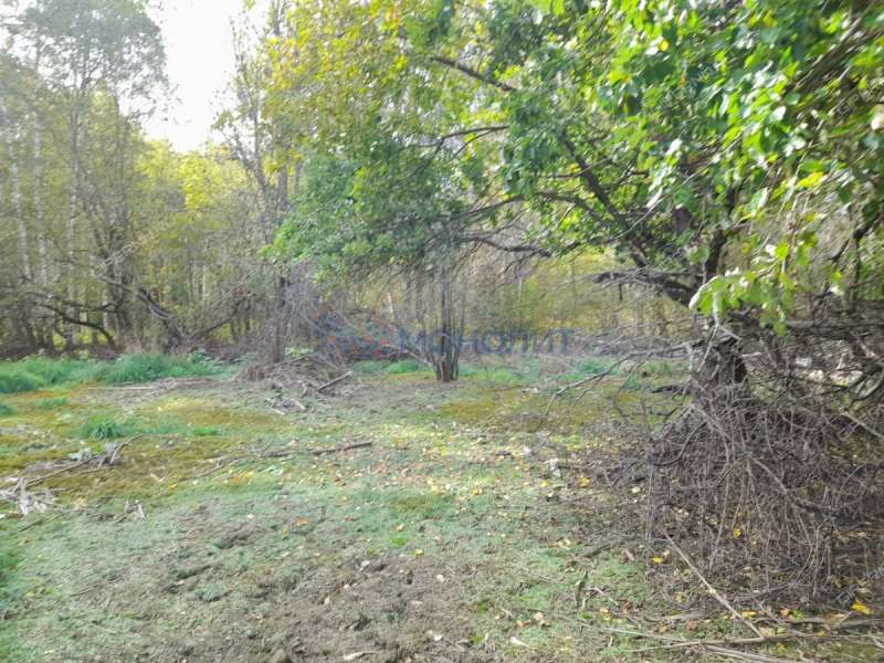 земельный участок 500 соток деревня Боярское