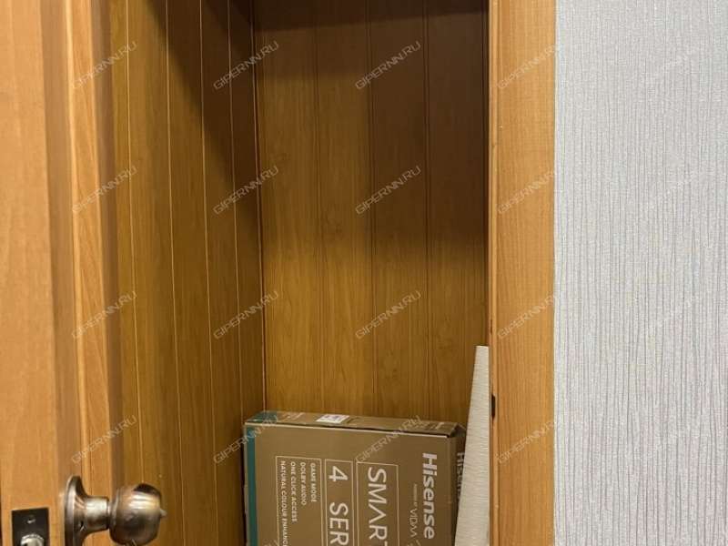 двухкомнатная квартира на Новосоветской улице дом 4