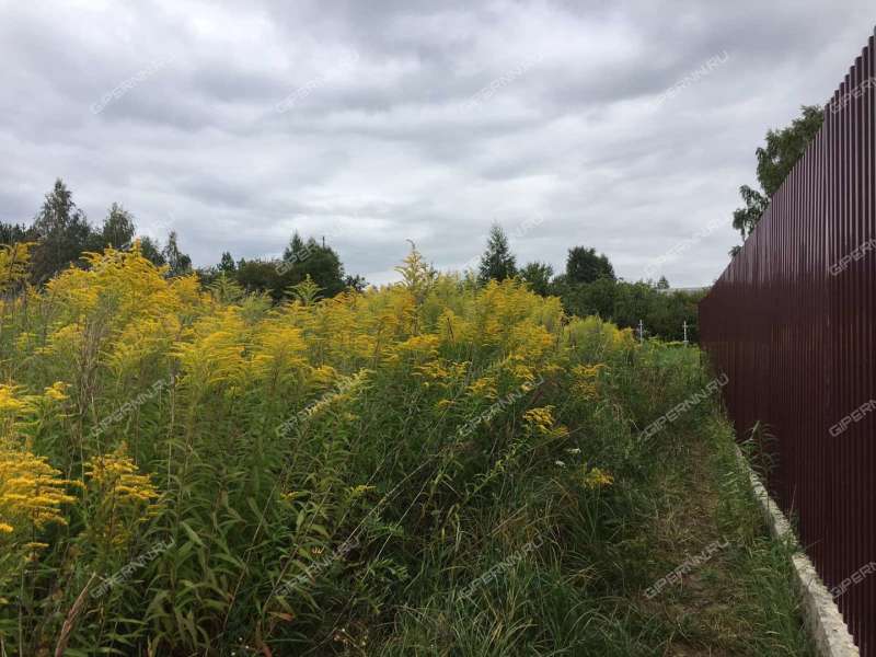 Купить Дом Деревни Дальний Константиновский Район Нижегородской