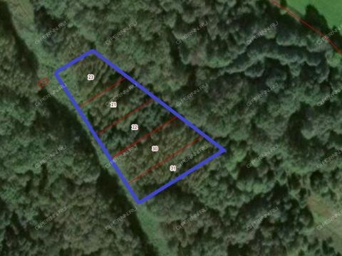 poselok-sovhoznyy-balahninskiy-municipalnyy-okrug фото