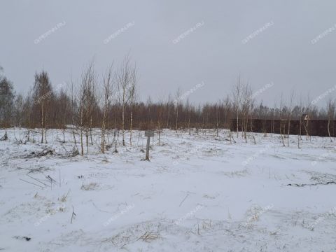 derevnya-mihalchikovo-kstovskiy-rayon фото