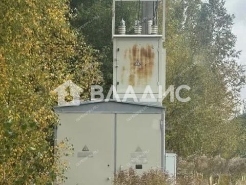 selo-afanasevo-bogorodskiy-municipalnyy-okrug фото