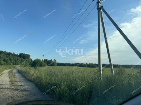 derevnya-shilovo-bogorodskiy-municipalnyy-okrug фото