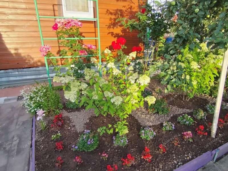 дача на СНТ Надежда