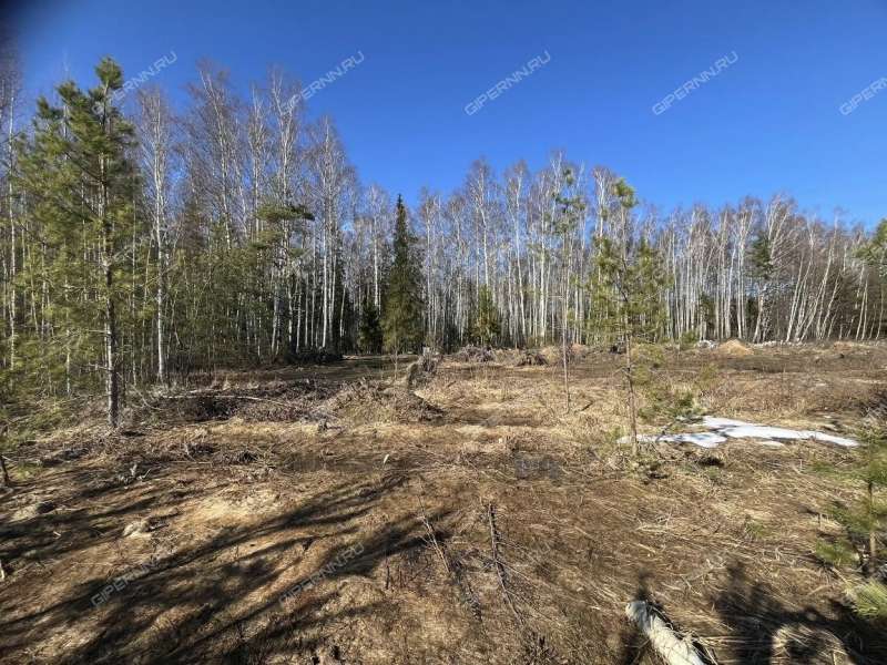 земельный участок под сельхоз назначение в Городецком районе Нижегородской области