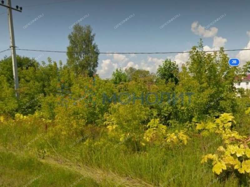 земельный участок 28,5 сотки Лесная улица село Дуденево