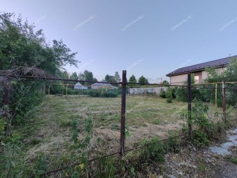derevnya-ankudinovka-kstovskiy-rayon фото
