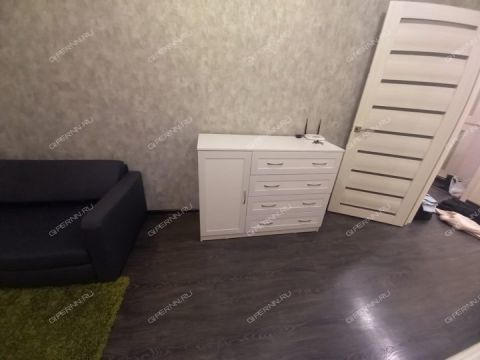 1-komnatnaya-ul-tonkinskaya-d-5 фото