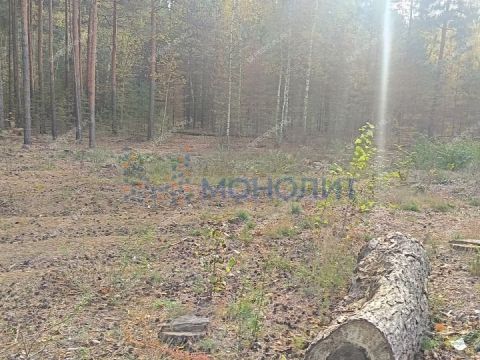 gorod-dzerzhinsk-gorodskoy-okrug-dzerzhinsk фото
