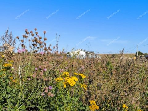 derevnya-maevka-diveevskiy-municipalnyy-okrug фото