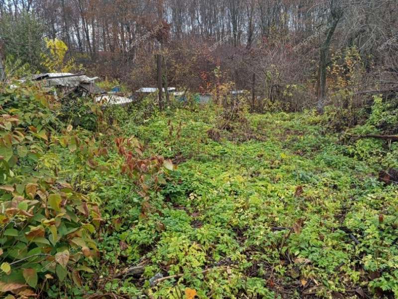 земельный участок 15 соток улица Дениса Давыдова