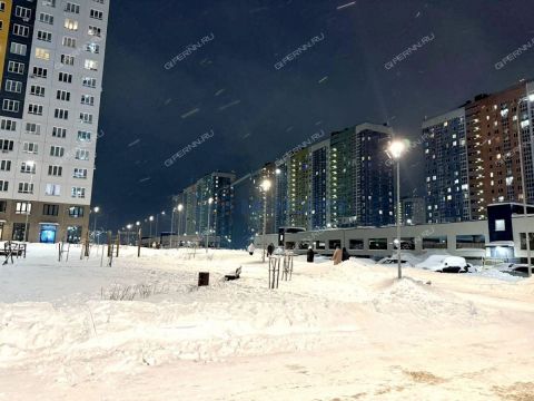 2-komnatnaya-derevnya-ankudinovka-kstovskiy-rayon фото