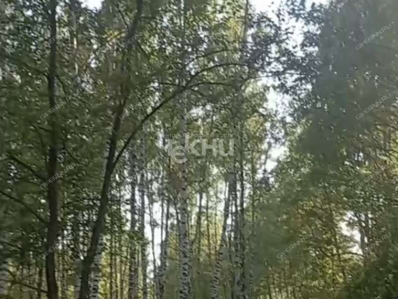 земельный участок 100 соток деревня Досадино